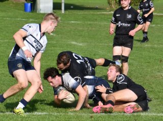 dsc_3567.jpg - JPEG - 463.9 ko - 2000×1477 px