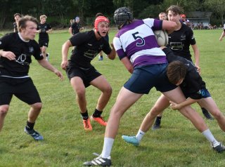 dsc_2016-3.jpg - JPEG - 141.3 ko - 2000×1333 px