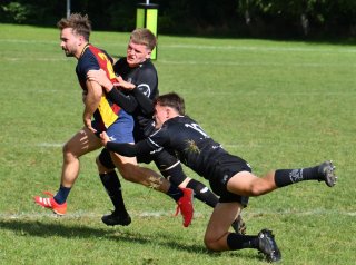 dsc_2464-3.jpg - JPEG - 298.9 ko - 1500×1115 px