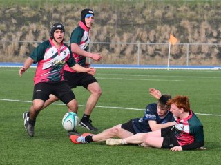 dsc_0879-2.jpg - JPEG - 666.4 ko - 2000×1325 px