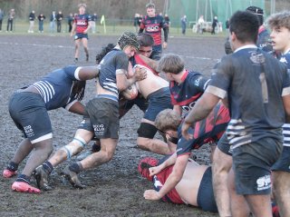 gp5f0689.jpg - JPEG - 538.3 ko - 2000×1489 px