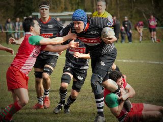 13-50.jpg - JPEG - 156.7 ko - 1504×1000 px