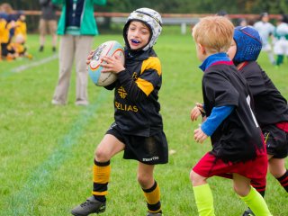 dsc02368_dxo_2048.jpg - JPEG - 411.6 ko - 2000×1500 px