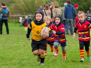 dsc02410_dxo_2048.jpg - JPEG - 274.5 ko - 2000×1333 px