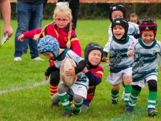 dsc02637_dxo_2048.jpg - JPEG - 576.4 ko - 2000×1500 px