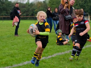 dsc02666_dxo_2048.jpg - JPEG - 471.7 ko - 2000×1500 px