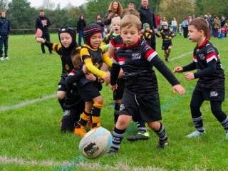 dsc02685_dxo_2048.jpg - JPEG - 680.2 ko - 2000×1500 px