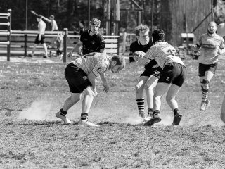 dsc06228.jpg - JPEG - 442.2 ko - 1500×1127 px