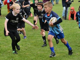 dsc_0856-3.jpg - JPEG - 394.8 ko - 1500×1125 px