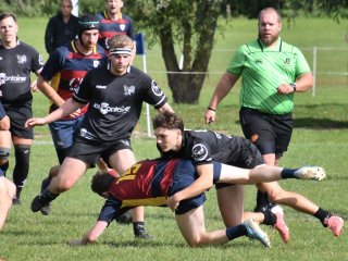 dsc_2456-3.jpg - JPEG - 246 ko - 2000×1325 px