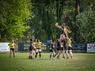 p1351353.jpg - JPEG - 779.3 ko - 2000×1501 px