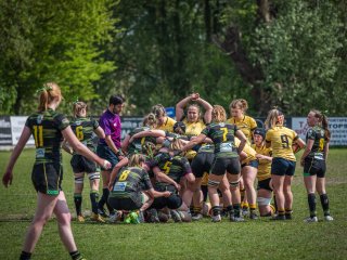 p1351372.jpg - JPEG - 632 ko - 2000×1502 px