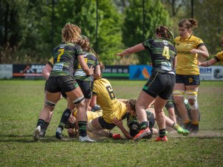 p1351396.jpg - JPEG - 595.7 ko - 2000×1501 px