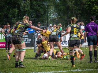 p1351402.jpg - JPEG - 547.3 ko - 2000×1501 px