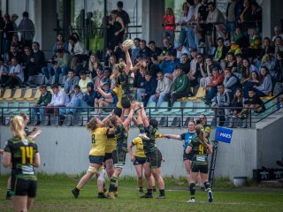 p1351425.jpg - JPEG - 557.9 ko - 2000×1501 px