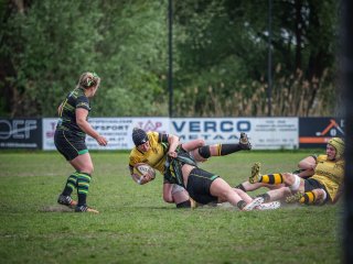 p1351445.jpg - JPEG - 450.8 ko - 2000×1501 px