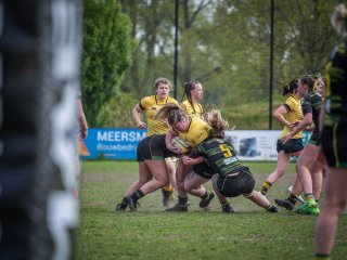 p1351447.jpg - JPEG - 416.2 ko - 2000×1501 px