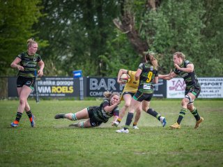 p1351457.jpg - JPEG - 506.1 ko - 2000×1501 px