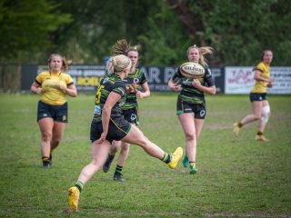 p1351463.jpg - JPEG - 445.1 ko - 2000×1501 px