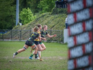 p1351464.jpg - JPEG - 464.2 ko - 2000×1501 px