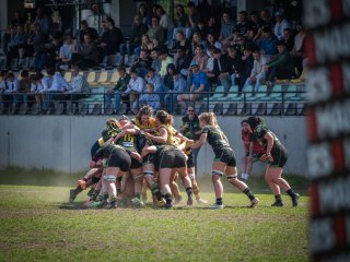 p1351517.jpg - JPEG - 500.4 ko - 2000×1501 px