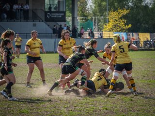 p1351652.jpg - JPEG - 630.3 ko - 2000×1501 px