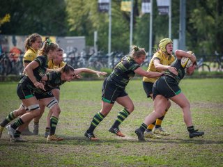 p1351698.jpg - JPEG - 576.5 ko - 2000×1501 px