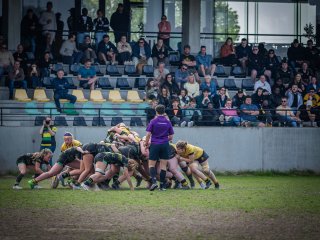 p1351729.jpg - JPEG - 511 ko - 2000×1501 px