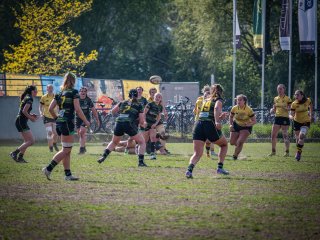 p1351805.jpg - JPEG - 641.7 ko - 2000×1501 px