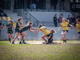 p1351824.jpg - JPEG - 494.6 ko - 2000×1501 px