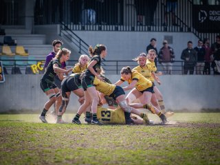 p1351825.jpg - JPEG - 489.5 ko - 2000×1501 px