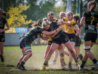 p1351851.jpg - JPEG - 530.9 ko - 2000×1501 px