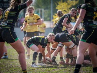 p1351853.jpg - JPEG - 487.8 ko - 2000×1501 px