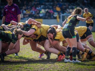 p1351871.jpg - JPEG - 563.7 ko - 2000×1501 px