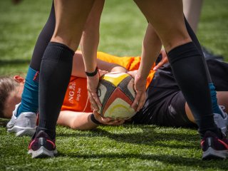 p1363813.jpg - JPEG - 454.5 ko - 2000×1501 px