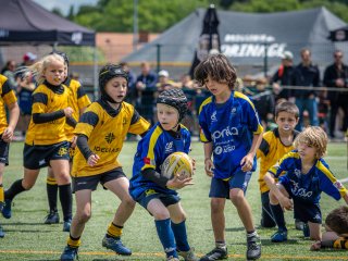 p1388625.jpg - JPEG - 563.4 ko - 2000×1502 px