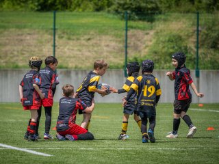 p1388659.jpg - JPEG - 519.5 ko - 2000×1501 px