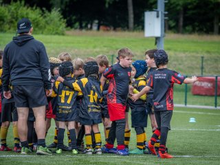 p1388689.jpg - JPEG - 541.5 ko - 2000×1501 px