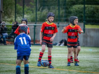 p1388752.jpg - JPEG - 471 ko - 2000×1501 px