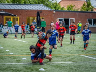 p1388807.jpg - JPEG - 725.6 ko - 2000×1501 px