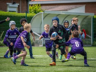 p1388832.jpg - JPEG - 590.9 ko - 2000×1501 px