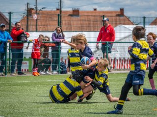 p1388867.jpg - JPEG - 652.3 ko - 2000×1501 px