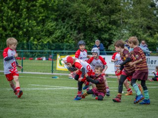 p1388896.jpg - JPEG - 585.3 ko - 2000×1502 px