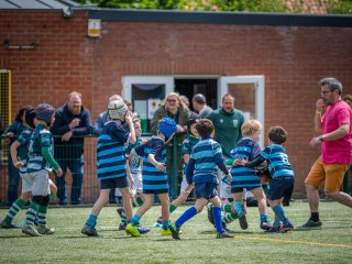 p1398935.jpg - JPEG - 557.8 ko - 2000×1501 px