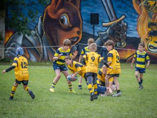 p1399199.jpg - JPEG - 591 ko - 2000×1501 px