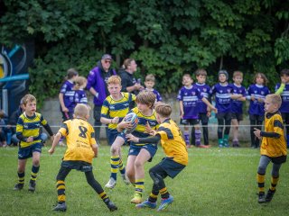 p1399203.jpg - JPEG - 554.3 ko - 2000×1501 px