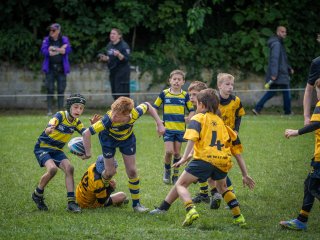 p1399209.jpg - JPEG - 573.3 ko - 2000×1501 px