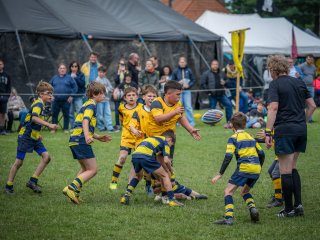 p1399255.jpg - JPEG - 575.6 ko - 2000×1501 px