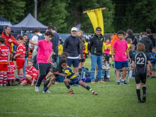 p1399331.jpg - JPEG - 543.5 ko - 2000×1501 px