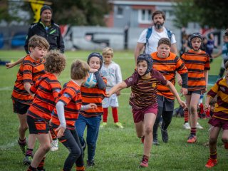 p1399563.jpg - JPEG - 522 ko - 2000×1501 px